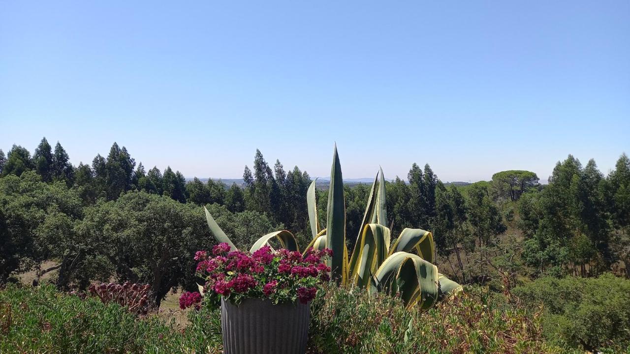 Monte Horizonte - The Private Villas - Eco & Nature (Adults Only) Santiago do Cacém Exterior foto